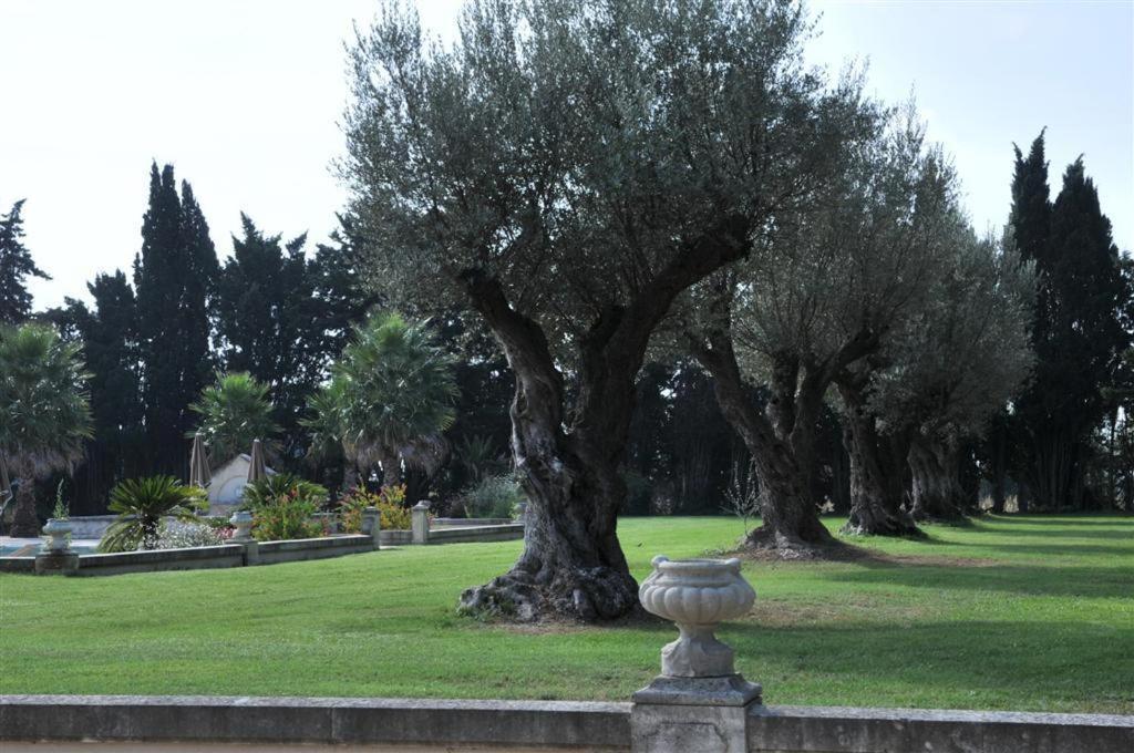 Domaine Du Grand Malherbes Aimargues Buitenkant foto